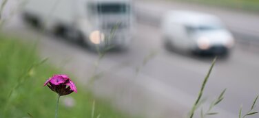 Hin und her bei den Dieselfahrverboten - eine Chronik voreilig gezogener Schlussfolgerungen