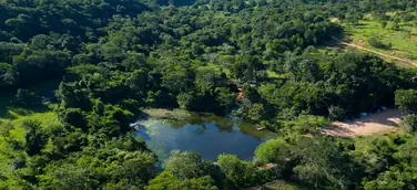 Pantanal: Brasiliens grünes Abenteuer