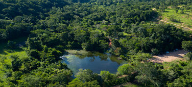 Pantanal: Brasiliens grünes Abenteuer