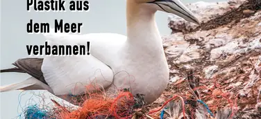 Umweltschutz jetzt - Tierschutz hier