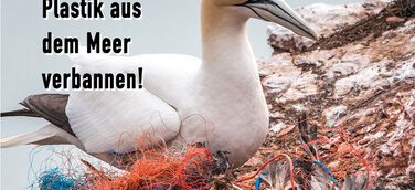 Umweltschutz jetzt - Tierschutz hier