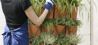 Urban Gardening geht die Wände hoch - das Vertical Garden WALL-System