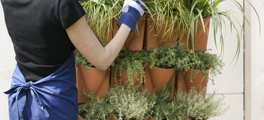 Urban Gardening geht die Wände hoch - das Vertical Garden WALL-System