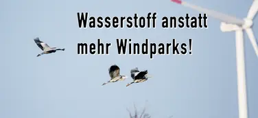 Wasserstoff anstatt mehr Windparks