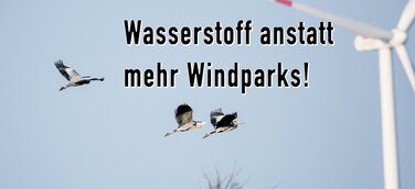 Wasserstoff anstatt mehr Windparks