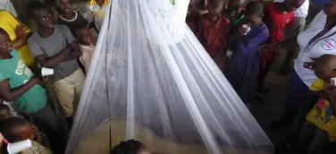Wieder aktiv gegen Malaria
