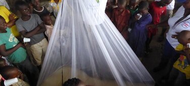 Wieder aktiv gegen Malaria