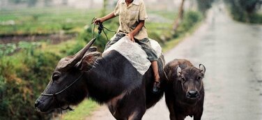 Eröffnung der Fotoausstellung "Geschichten aus China"