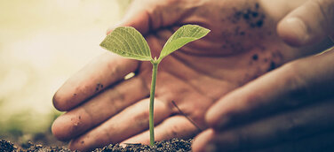 Grüne Verantwortung als Firmenphilosophie