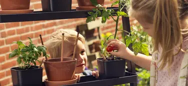 Plastikfreie Ferien: Sprout-Stifte, die zu einer Pflanze werden