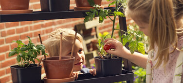 Plastikfreie Ferien: Sprout-Stifte, die zu einer Pflanze werden