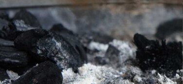 Wieder zahlreich Tropenholz in Grillkohle gefunden