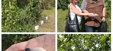 ENZEDRA-Projektpräsentation auf dem AmbrossGut Schönbrunn