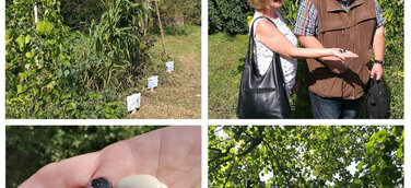 ENZEDRA-Projektpräsentation auf dem AmbrossGut Schönbrunn