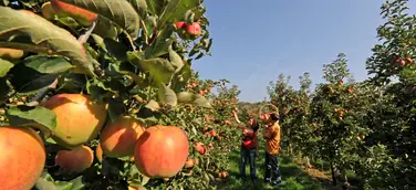 Thurgau Bodensee: Spazieren, feiern, entspannen