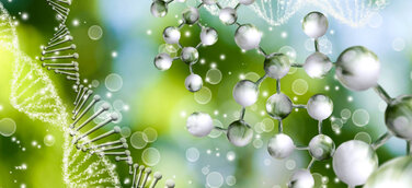 Das Kraftwerk Körper und die Macht der Mikronährstoffe