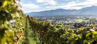 Genussregion St.Gallen-Bodensee: Von der fünften Jahreszeit, den vier B und weiteren Köstlichkeiten