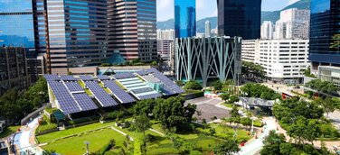 Greening Deserts Begrünungscamps und Forschungsstationen