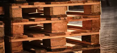 Trans-O-Flex mustert Holzpalette aus