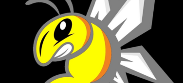 Unfälschbare Abschlusszeugnisse bei HSBA