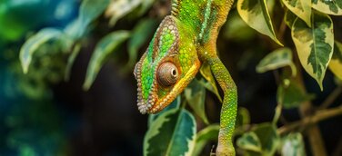 Ratgeber: Raus aus dem Software-Dschungel – Lager mittels optimaler Softwarelösung richtig digitalisieren