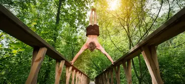 Der Wald als Therapeut
