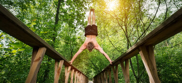 Der Wald als Therapeut