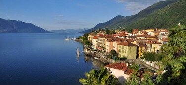 Zitronenhaine am Lago Maggiore