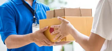 Schnelle, flexible und nachhaltige Zustellung liegt voll im Trend: Versandgeschäft im E-Commerce bleibt 2020 auf Wachstumskurs