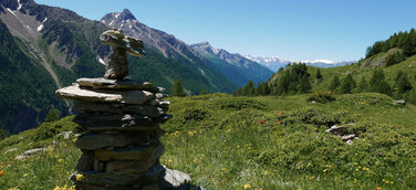 Heilsame Schönheiten - das Aostatal in voller Blütenpracht