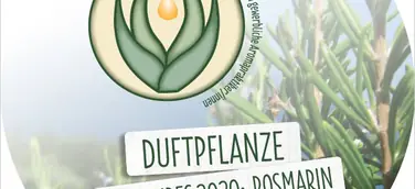 Der Tag des Duftes mit Rosmarin: Schützend, stärkend, belebend