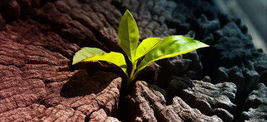 Berufsbegleitende Weiterbildung zum Change Mangement Coach