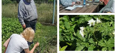 Projektberatung und Exkursion zu Musteranbauflächen historischer Pflanzen