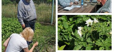 Projektberatung und Exkursion zu Musteranbauflächen historischer Pflanzen