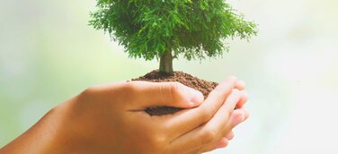 Umweltfreundlich fahren und dabei die Kosten senken...