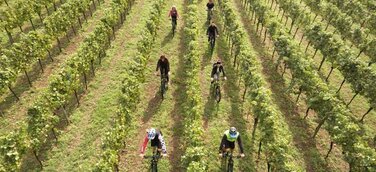 Brescia setzt die Segel