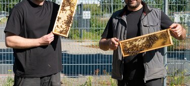 Ein Zuhause für 50.000 Mitarbeiter*innen: terminic GmbH verlängert Bienenpatenschaft um ein weiteres Jahr