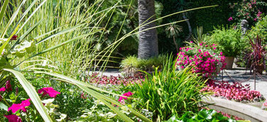 Gartenfantasien am Lago Maggiore – und Tee