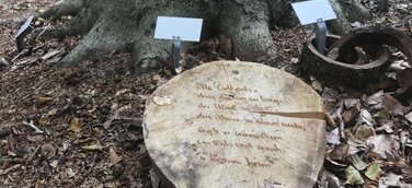 Warnung vor Gedenkstücken im Bestattungswald: Nicht nur wegen Waldbrandgefahr auf Kerzen verzichten