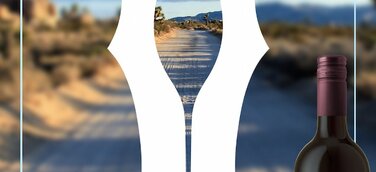 Follow your own Path: Wie vier Bloggerinnen auch in Corona-Zeiten ihre Ziele nicht aus den Augen verlieren