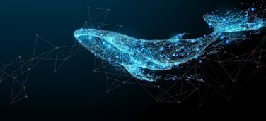 OfG startet staatlich zugelassenen Onlinekurs „Illustrator Masterclass“