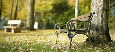 Tag des Friedhofs: Auch Friedhöfe müssen sich gesellschaftlicher Realität anpassen