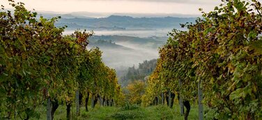 Die Provinz Cuneo im norditalienischen Piemont ist für sicheren Tourismus gewappnet