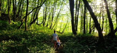 Investitionsprogramm Wald des BMEL: DekaData Software-Kunden erhalten volle Fördersumme