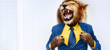 Start-Up SalsUp im ersten Jahr mit 3,8 Millionen Euro bewertet