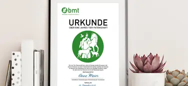„Tierliebe schenken“ – Patenschaften für das Franziskus-Tierheim