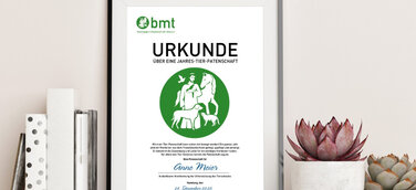 „Tierliebe schenken“ – Patenschaften für das Franziskus-Tierheim