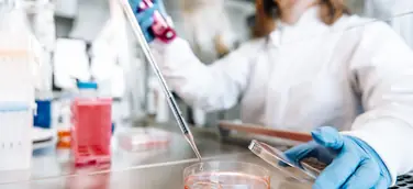 ASC Oncology beantwortet dank Testverfahren die zentrale Frage nach der Wirksamkeit von Krebsmedikamenten am Patiententumor
