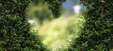 Green Finance mit Fokus auf Nachhaltigkeit – Eine Erfolgsstory