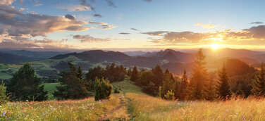 Raus aus dem „Homeoffice“ und rein in den Arbeitsraum Natur - Eine gesunde Alternative: Der Arbeitsraum Natur